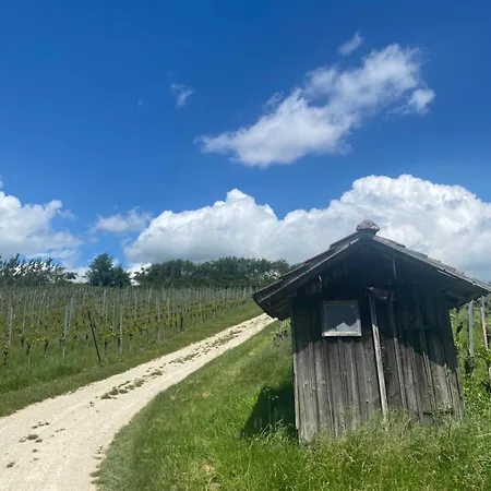 Cozy In South-germany Klettgau