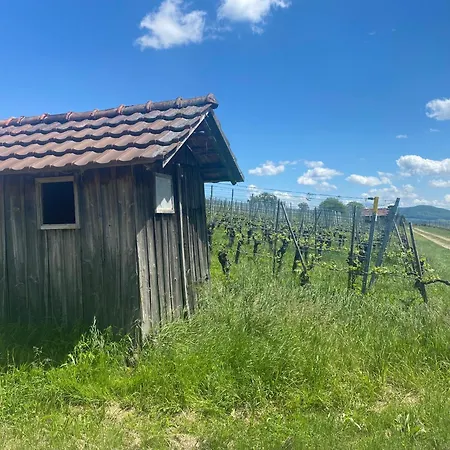 شقة Cozy In South-germany