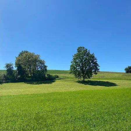 Cozy In South-germany Klettgau