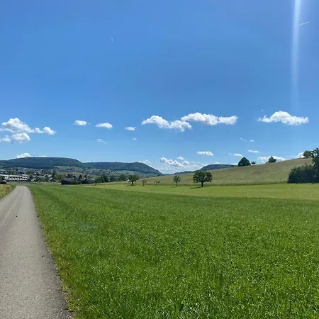 Apartamento Cozy In South-germany Klettgau